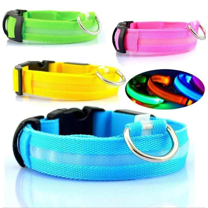 Glowing Safety Dog Collar with LED