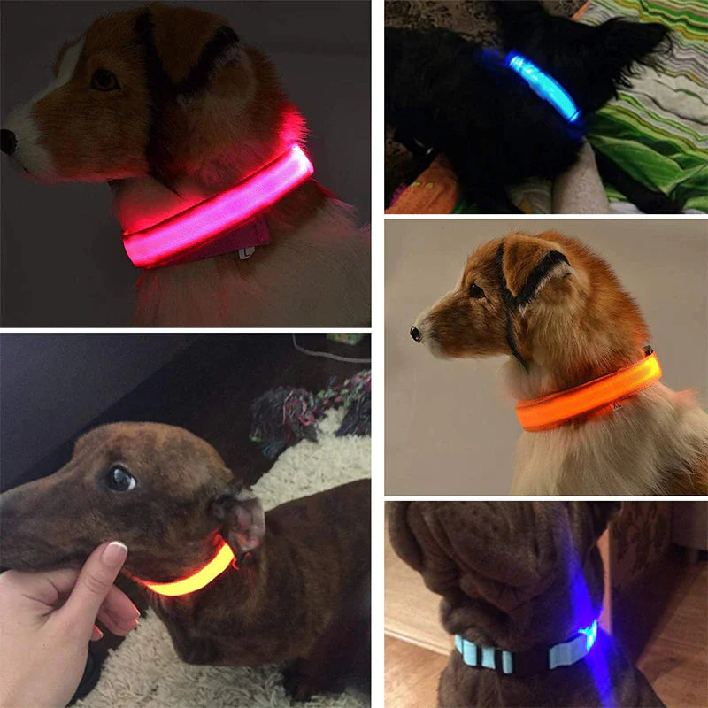 Glowing Safety Dog Collar with LED