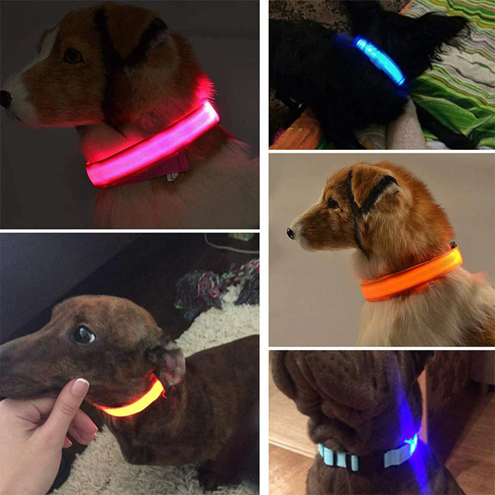 Glowing Safety Dog Collar with LED