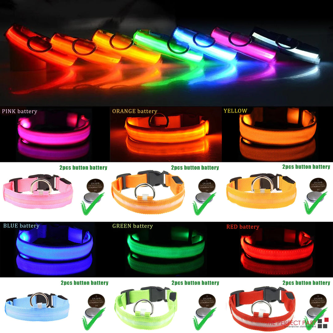 Glowing Safety Dog Collar with LED