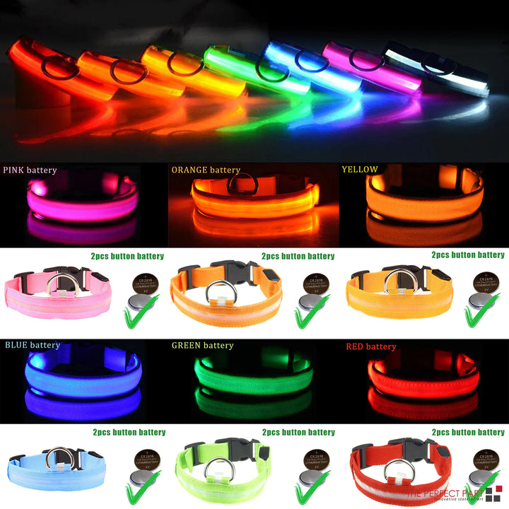 Glowing Safety Dog Collar with LED