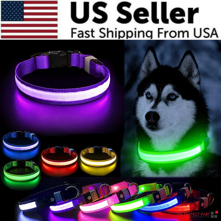 Glowing Safety Dog Collar with LED