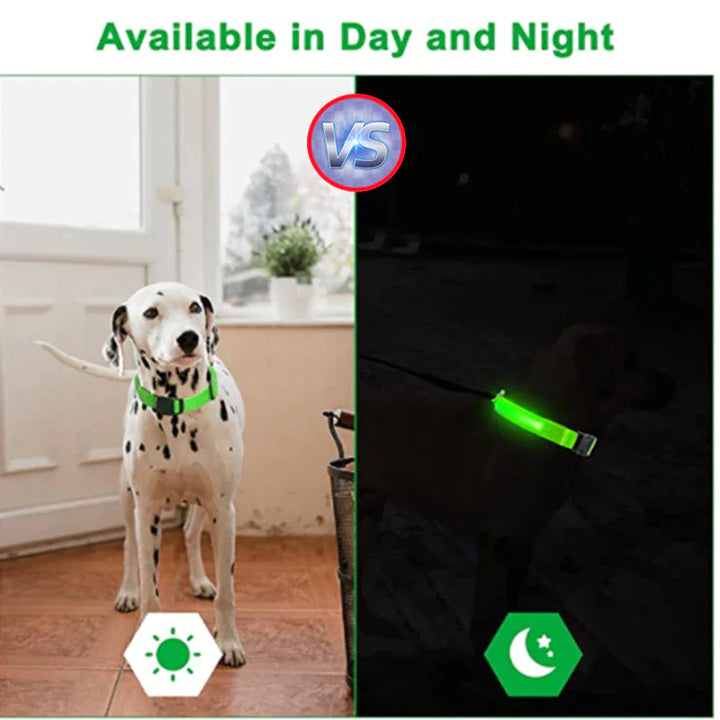Glowing Safety Dog Collar with LED