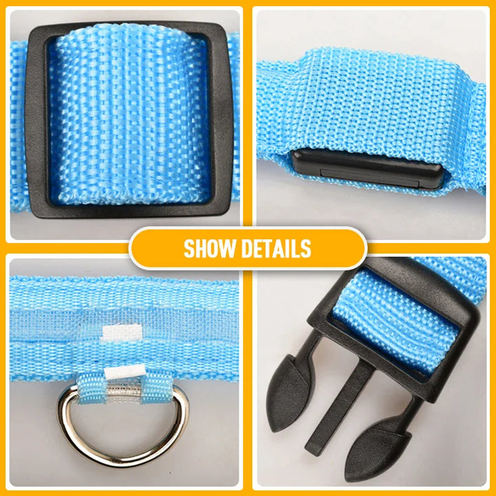 Glowing Safety Dog Collar with LED