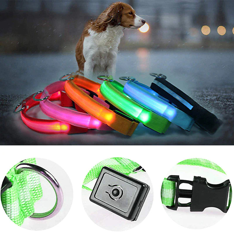 Glowing Safety Dog Collar with LED