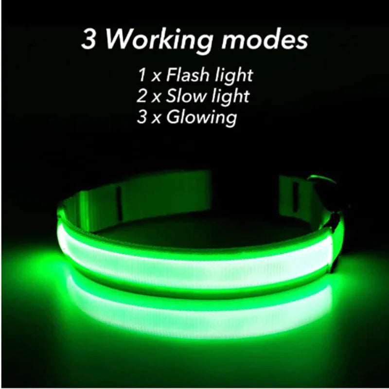 Glowing Safety Dog Collar with LED