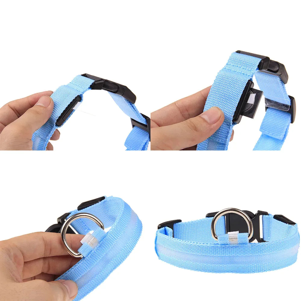 Glowing Safety Dog Collar with LED