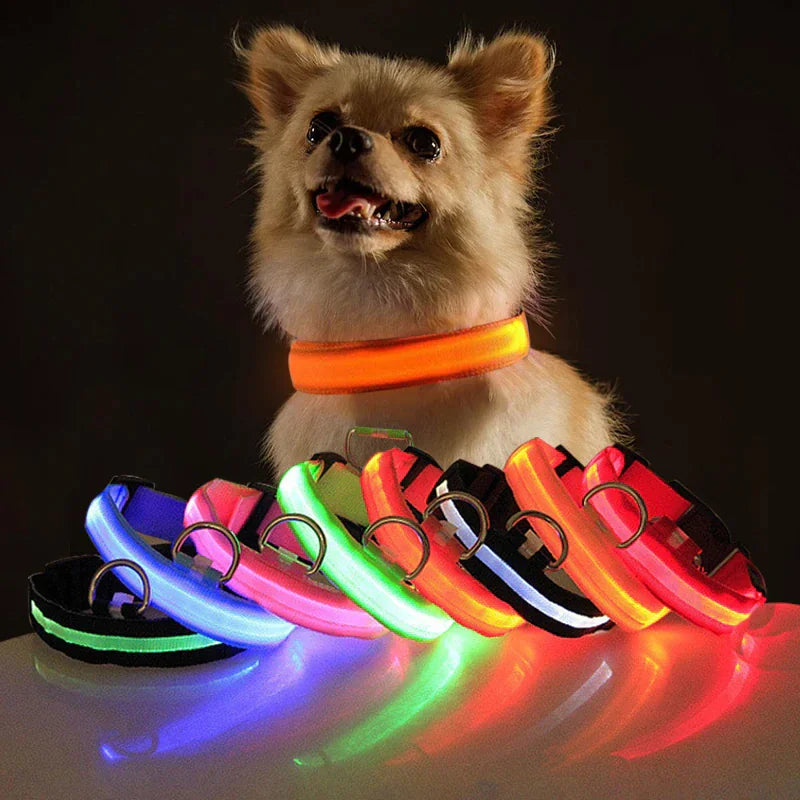 Glowing Safety Dog Collar with LED